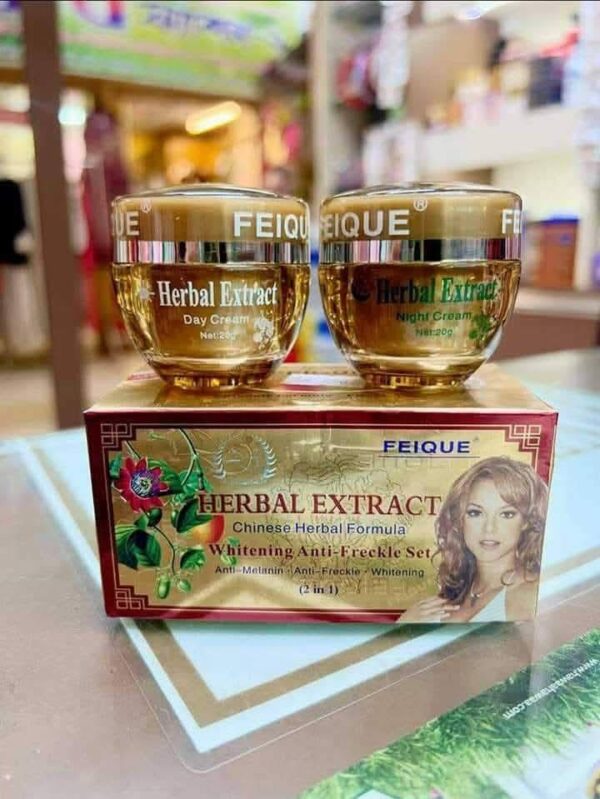 Feique Herbal Extract Whitening Anti Freckle Removing Day & Night Cream (Day & Night Cream Set )